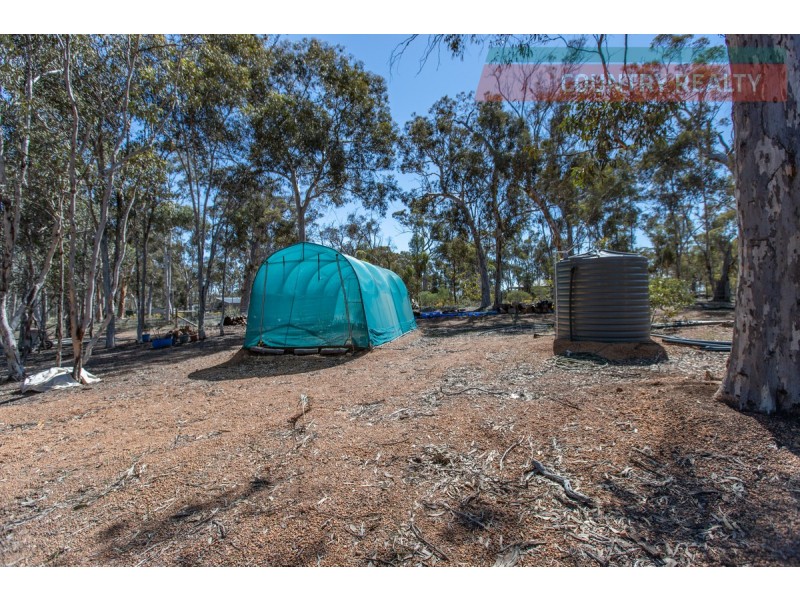 46 Darwinia Crescent, Toodyay WA 6566