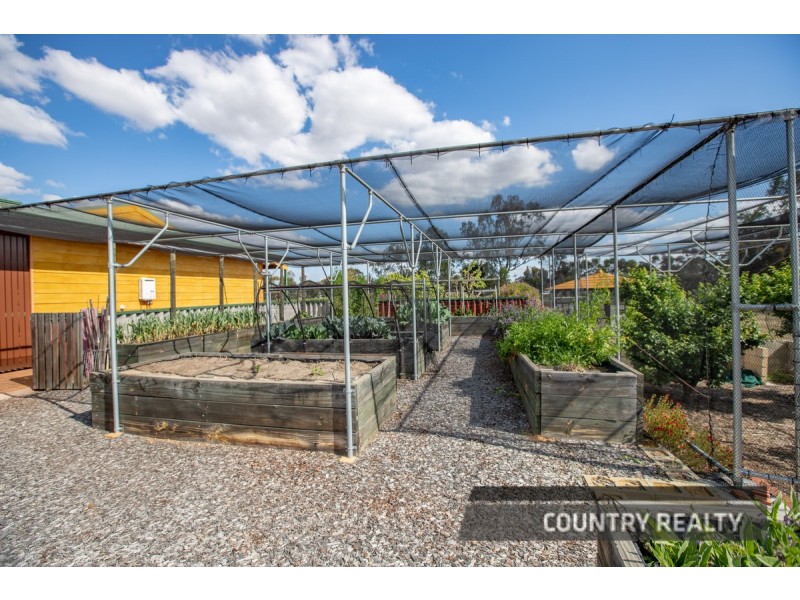 39 Nicholas Street, Beverley WA 6304