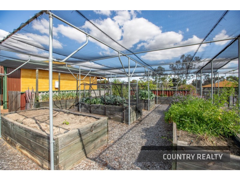 39 Nicholas Street, Beverley WA 6304