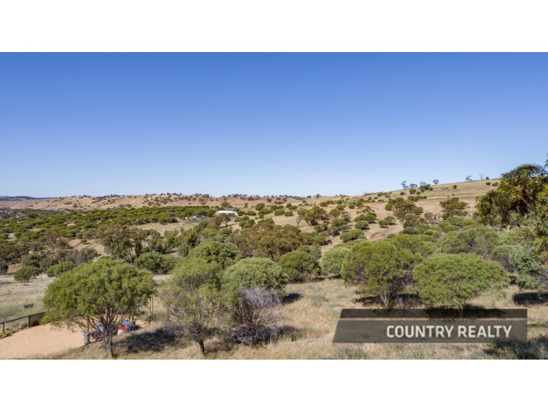 37 Whitelakes Drive, Dumbarton, Toodyay WA 6566