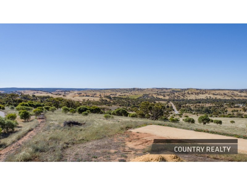 37 Whitelakes Drive, Dumbarton, Toodyay WA 6566