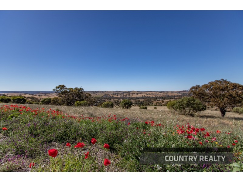 37 Whitelakes Drive, Dumbarton, Toodyay WA 6566