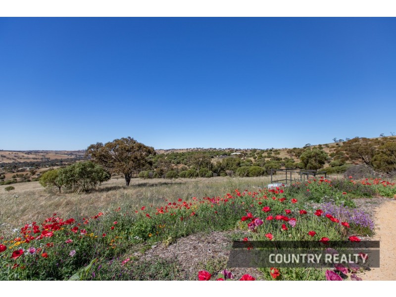 37 Whitelakes Drive, Dumbarton, Toodyay WA 6566