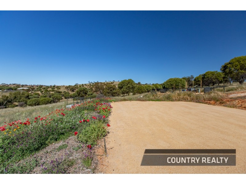 37 Whitelakes Drive, Dumbarton, Toodyay WA 6566