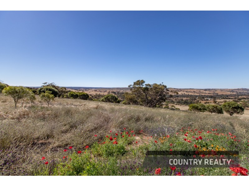 37 Whitelakes Drive, Dumbarton, Toodyay WA 6566