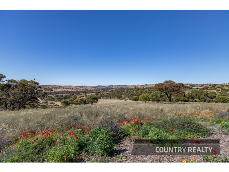 37 Whitelakes Drive, Dumbarton, Toodyay WA 6566