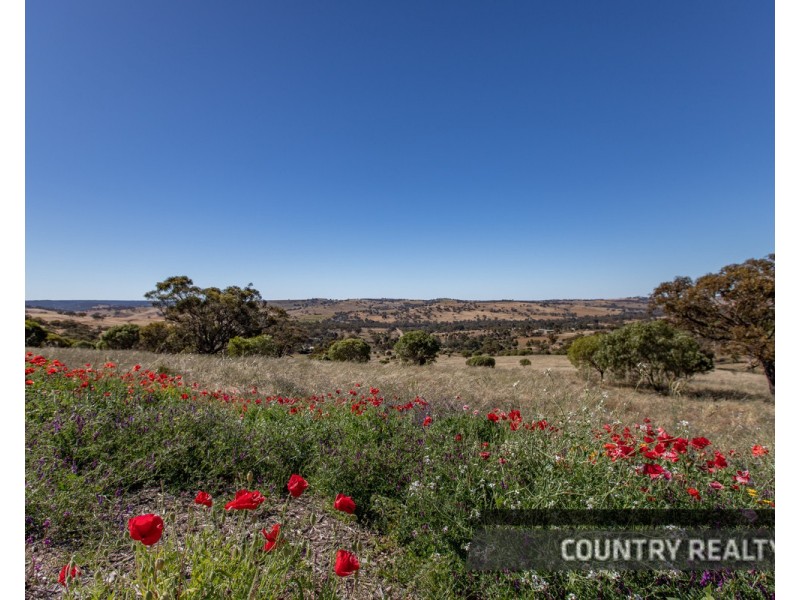 37 Whitelakes Drive, Dumbarton, Toodyay WA 6566