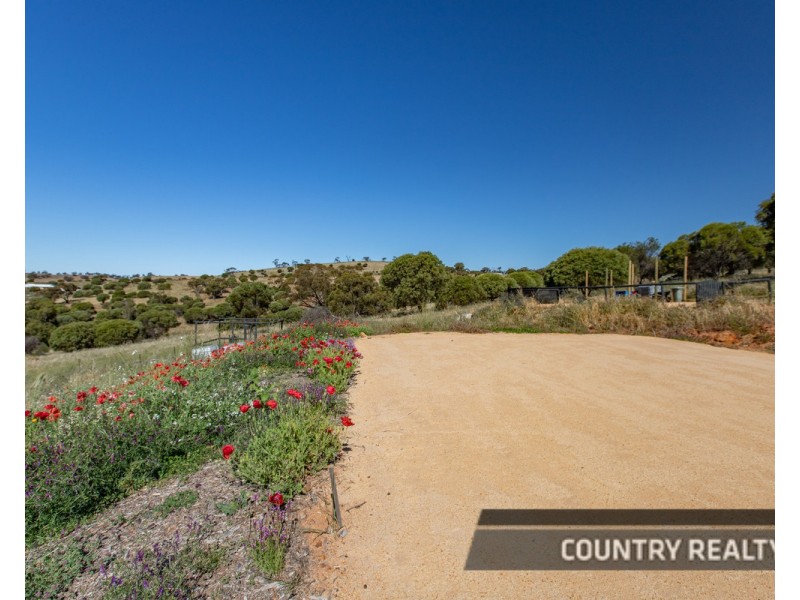 37 Whitelakes Drive, Dumbarton, Toodyay WA 6566