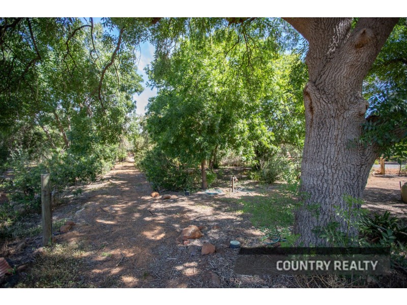 14 Harriott Street, York WA 6302