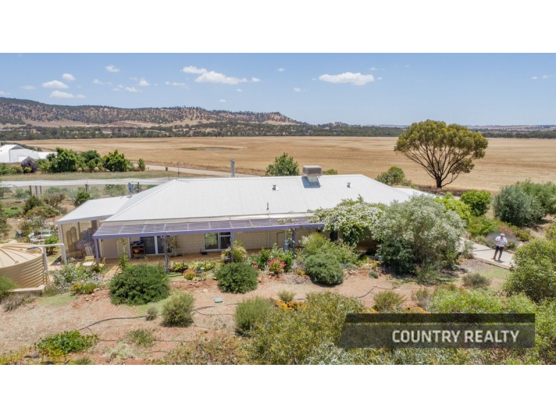 81 Andrews Avenue, York WA 6302