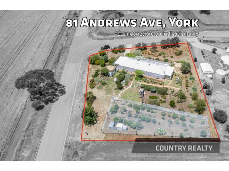 81 Andrews Avenue, York WA 6302