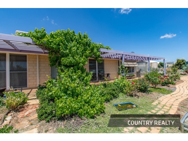81 Andrews Avenue, York WA 6302