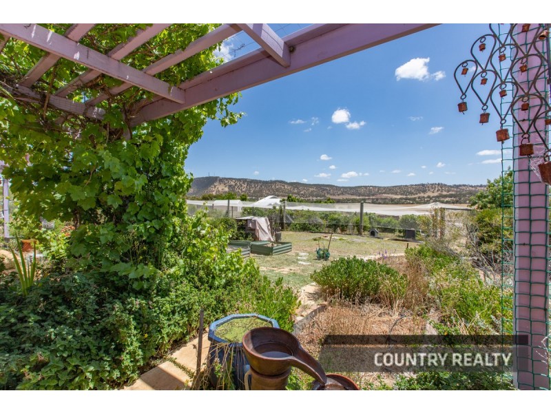 81 Andrews Avenue, York WA 6302