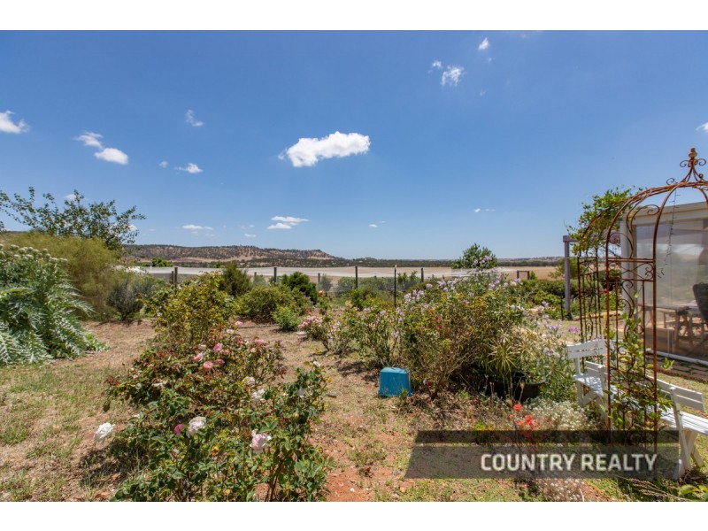 81 Andrews Avenue, York WA 6302