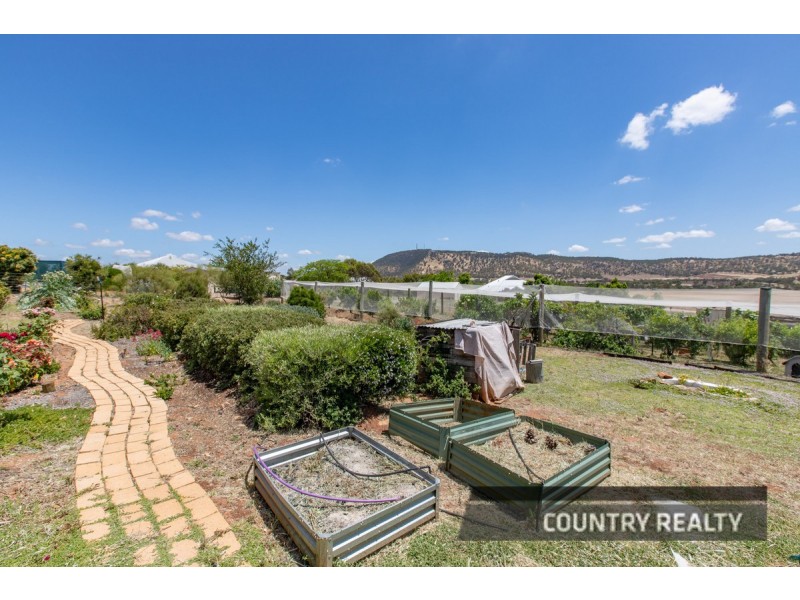 81 Andrews Avenue, York WA 6302