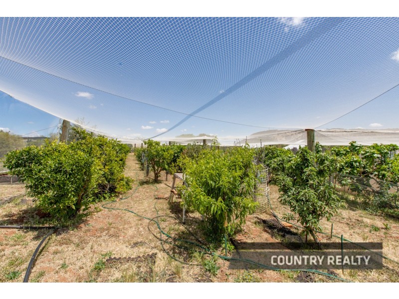 81 Andrews Avenue, York WA 6302