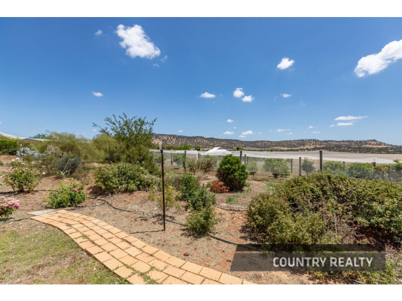 81 Andrews Avenue, York WA 6302