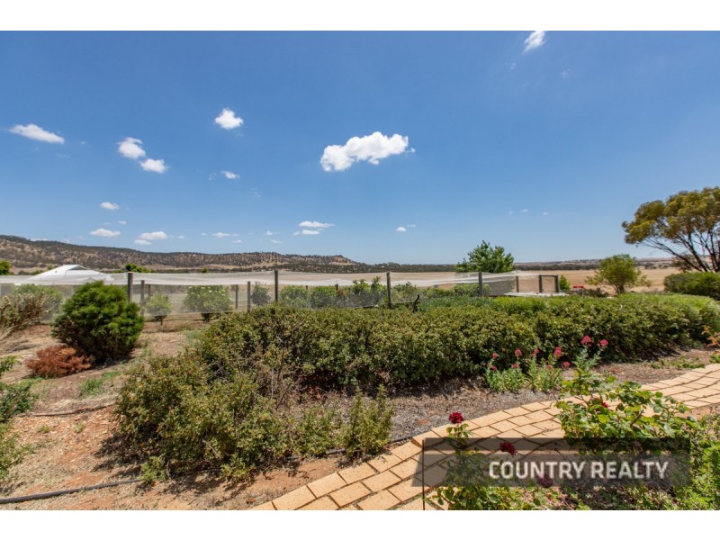 81 Andrews Avenue, York WA 6302