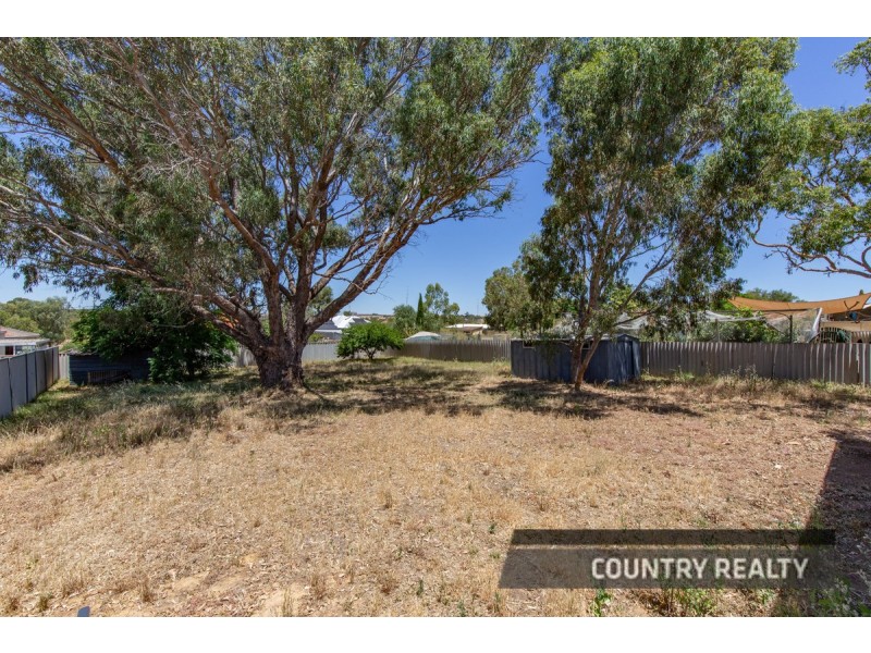 17 James Street, Northam WA 6401
