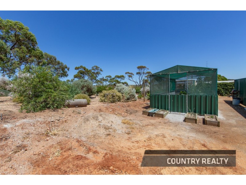 10 Heaton Drive, Northam WA 6401