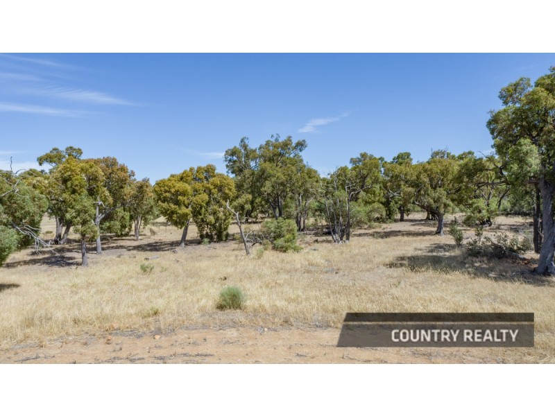 59 Harvester Drive, Toodyay WA 6566