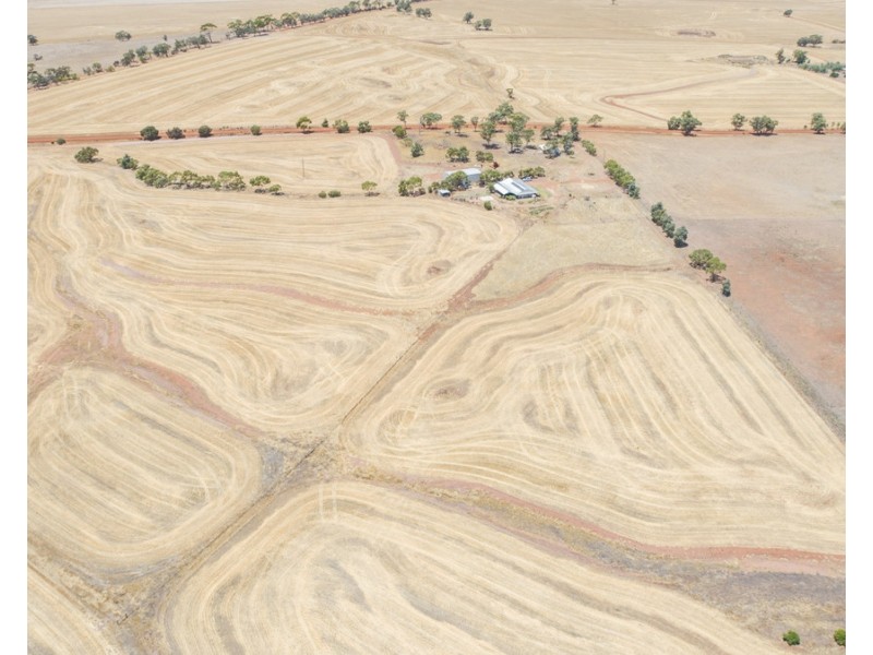 165 Peacock Road, Northam WA 6401