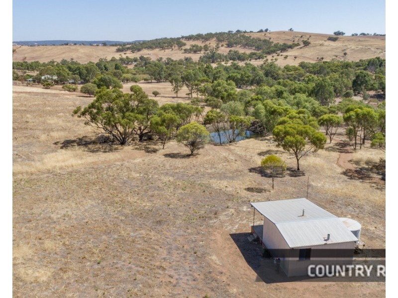42 Ferguson Road, Coondle, Toodyay WA 6566