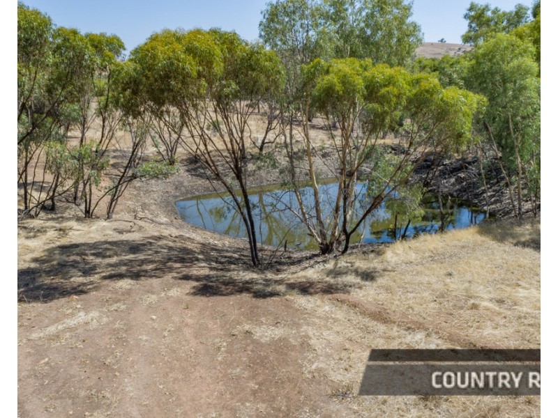 42 Ferguson Road, Coondle, Toodyay WA 6566