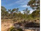 45 Laterite Way, Coondle, Toodyay WA 6566
