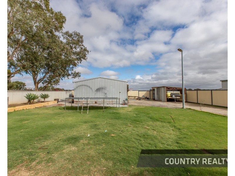 29 Baxter Road, Cunderdin WA 6407