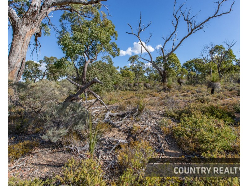 70 Donegan View, Julimar, Toodyay WA 6566