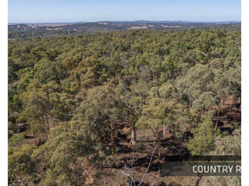 162 Parkland Drive, Julimar, Toodyay WA 6566