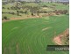 217 Mount Road, Wattening, Toodyay WA 6566