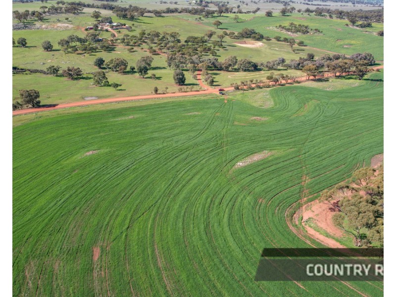 217 Mount Road, Wattening, Toodyay WA 6566