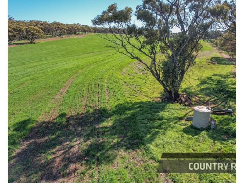 217 Mount Road, Wattening, Toodyay WA 6566
