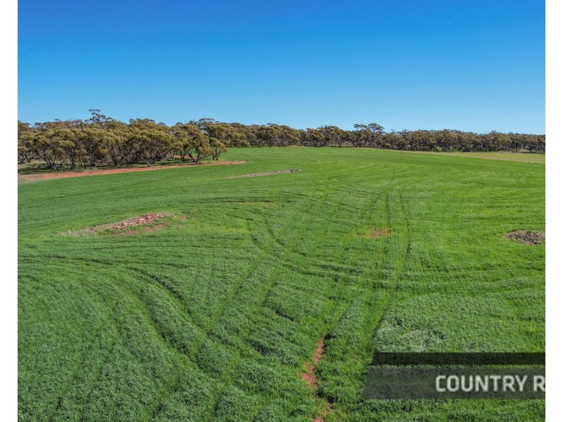 217 Mount Road, Wattening, Toodyay WA 6566