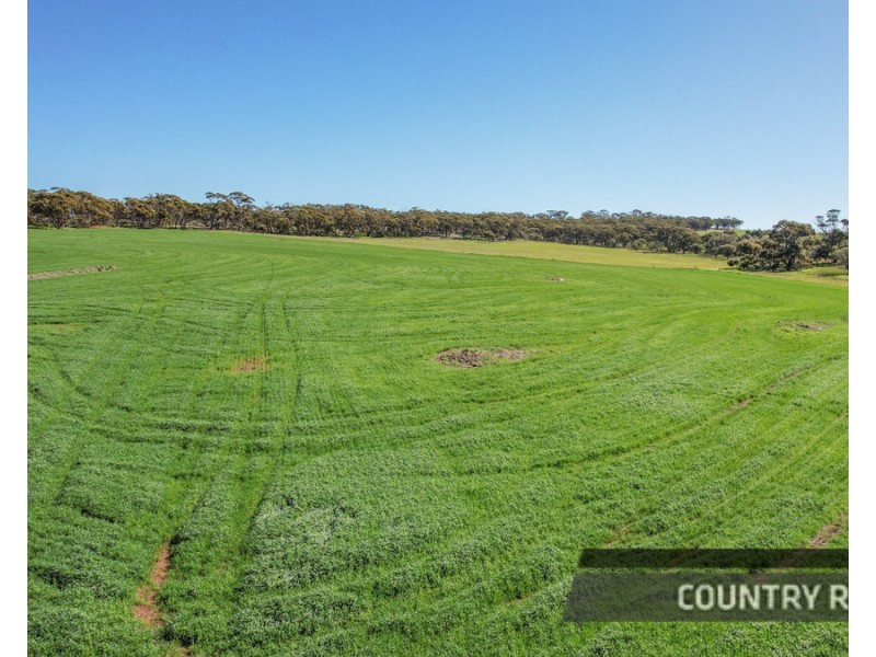 217 Mount Road, Wattening, Toodyay WA 6566