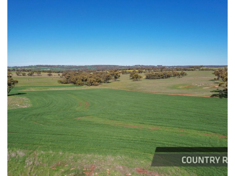 217 Mount Road, Wattening, Toodyay WA 6566