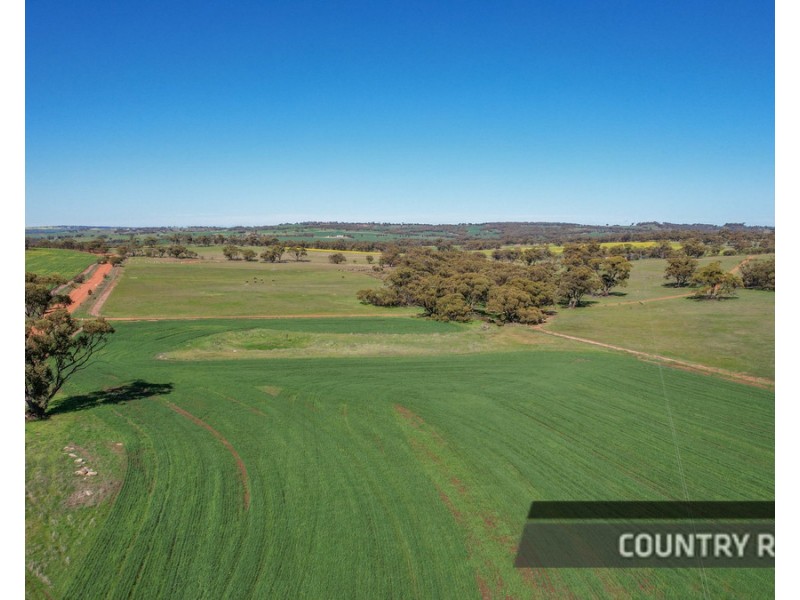 217 Mount Road, Wattening, Toodyay WA 6566