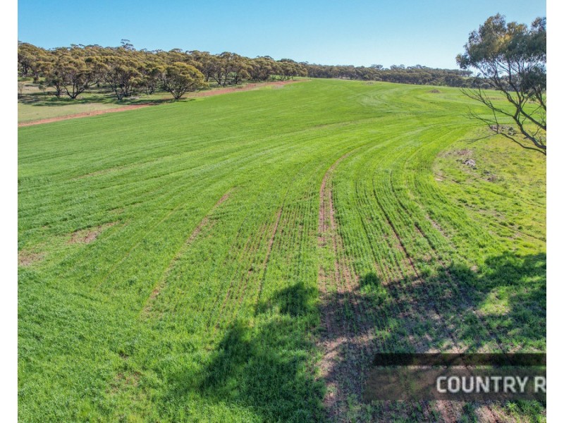 217 Mount Road, Wattening, Toodyay WA 6566