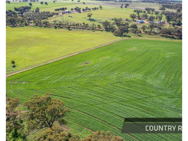 217 Mount Road, Wattening, Toodyay WA 6566
