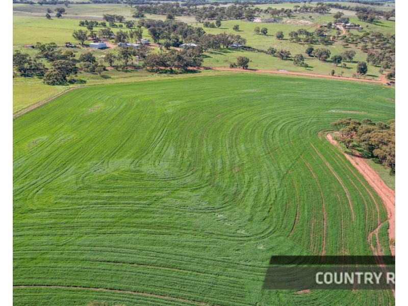 217 Mount Road, Wattening, Toodyay WA 6566