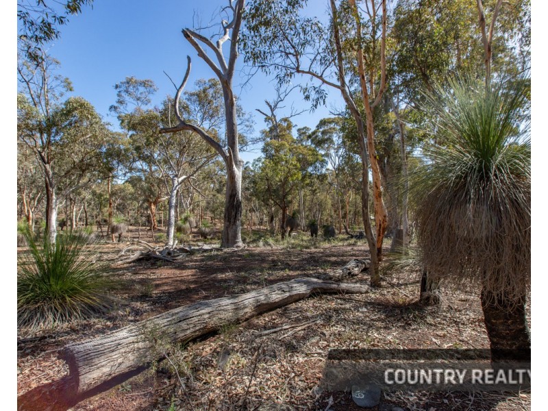 17 Parkland Drive, Julimar, Toodyay WA 6566