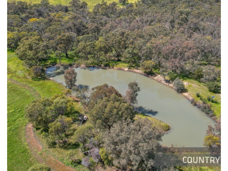 205 Sand Spring Road, Julimar, Toodyay WA 6566
