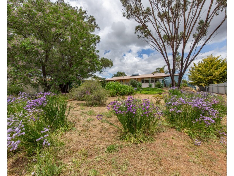 58 Jubilee Street, Toodyay WA 6566