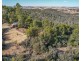10 Sesselis Road, Toodyay WA 6566