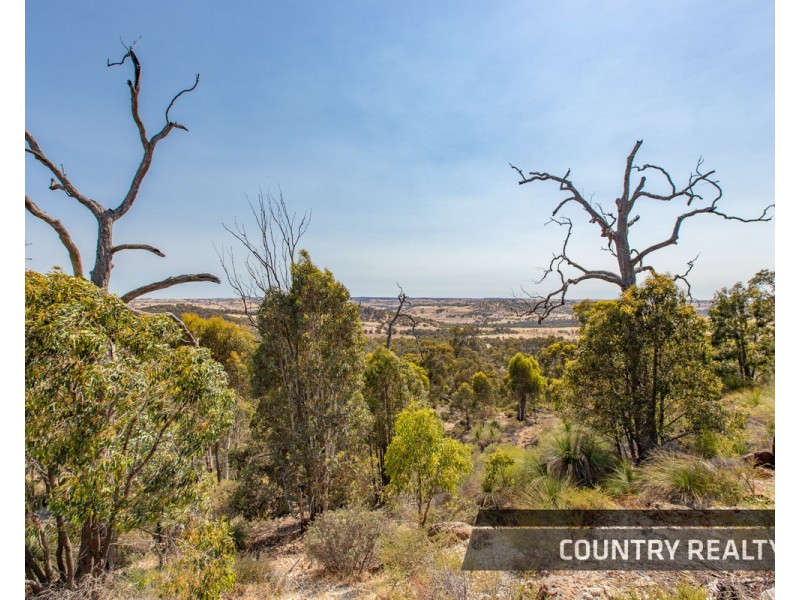 10 Sesselis Road, Toodyay WA 6566