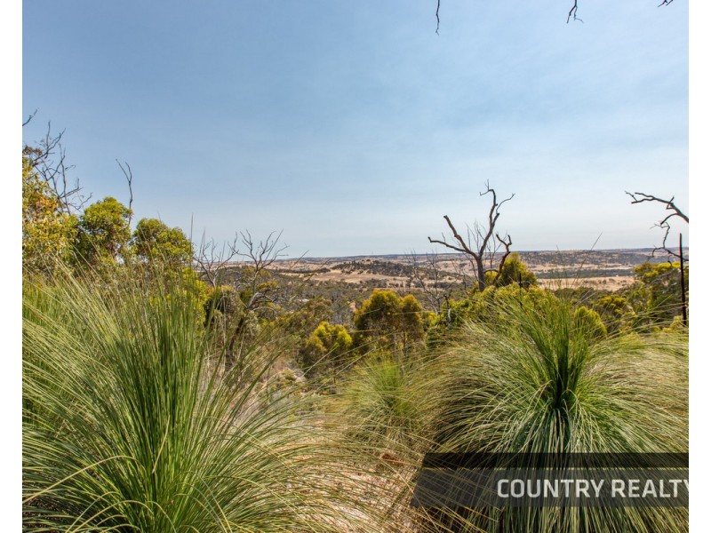 10 Sesselis Road, Toodyay WA 6566
