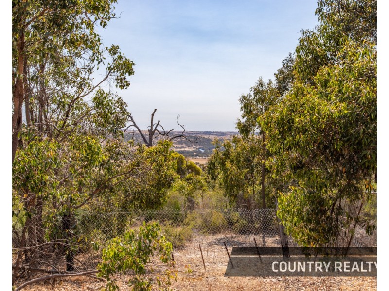 10 Sesselis Road, Toodyay WA 6566