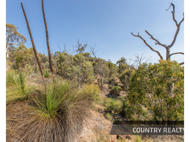 10 Sesselis Road, Toodyay WA 6566